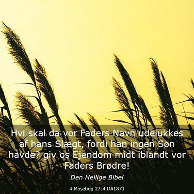 Picture 03 - 4 Mosebog 27:4 DA1871 - Hvi skal da vor Faders Navn udelukkes af hans - Bible Verse Picture