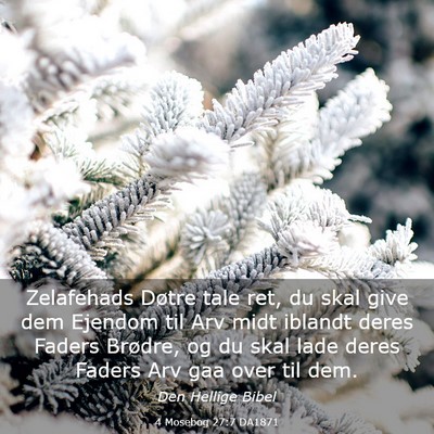 Picture 03 - 4 Mosebog 27:7 DA1871 - Zelafehads Døtre tale ret, du skal give dem - Bible Verse Picture