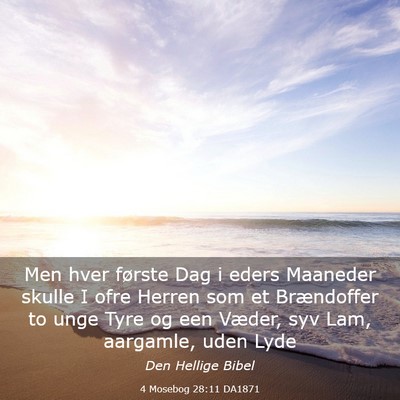 Picture 03 - 4 Mosebog 28:11 DA1871 - Men hver første Dag i eders Maaneder skulle I - Bible Verse Picture