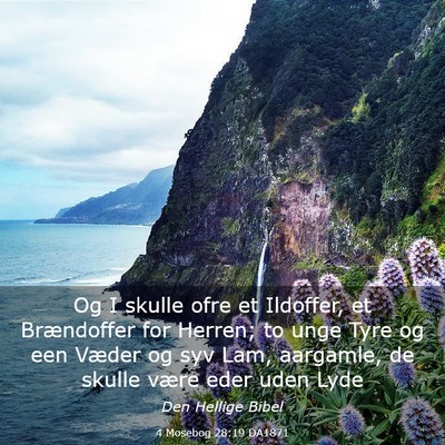 Picture 03 - 4 Mosebog 28:19 DA1871 - Og I skulle ofre et Ildoffer, et Brændoffer for - Bible Verse Picture