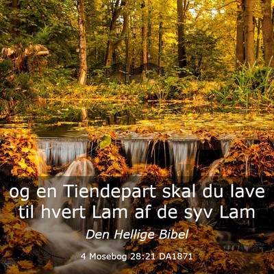 Picture 03 - 4 Mosebog 28:21 DA1871 - og en Tiendepart skal du lave til hvert Lam af de - Bible Verse Picture
