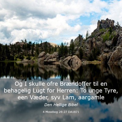 Picture 03 - 4 Mosebog 28:27 DA1871 - Og I skulle ofre Brændoffer til en behagelig - Bible Verse Picture