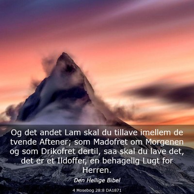 Picture 03 - 4 Mosebog 28:8 DA1871 - Og det andet Lam skal du tillave imellem de - Bible Verse Picture