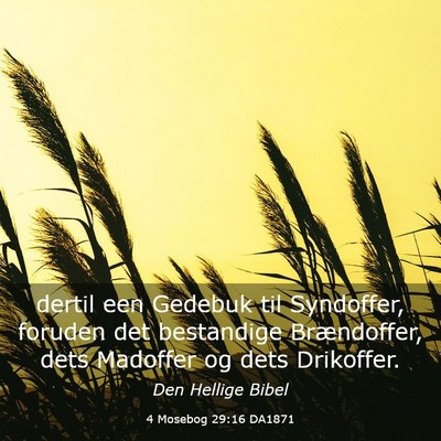 Picture 03 - 4 Mosebog 29:16 DA1871 - dertil een Gedebuk til Syndoffer, foruden det - Bible Verse Picture