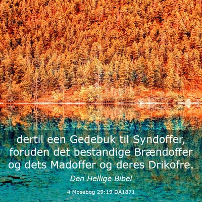 Picture 03 - 4 Mosebog 29:19 DA1871 - dertil een Gedebuk til Syndoffer, foruden det - Bible Verse Picture