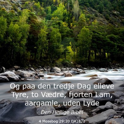 Picture 03 - 4 Mosebog 29:20 DA1871 - Og paa den tredje Dag elleve Tyre, to Vædre, - Bible Verse Picture