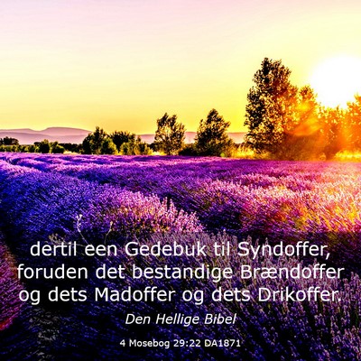 Picture 03 - 4 Mosebog 29:22 DA1871 - dertil een Gedebuk til Syndoffer, foruden det - Bible Verse Picture