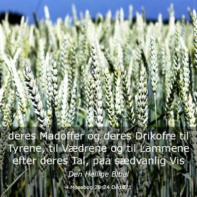 Picture 03 - 4 Mosebog 29:24 DA1871 - deres Madoffer og deres Drikofre til Tyrene, til - Bible Verse Picture