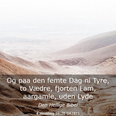 Picture 03 - 4 Mosebog 29:26 DA1871 - Og paa den femte Dag ni Tyre, to Vædre, fjorten - Bible Verse Picture