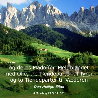 Picture 03 - 4 Mosebog 29:3 DA1871 - og deres Madoffer, Mel, blandet med Olie, tre - Bible Verse Picture