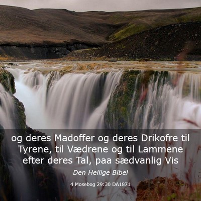 Picture 03 - 4 Mosebog 29:30 DA1871 - og deres Madoffer og deres Drikofre til Tyrene, - Bible Verse Picture