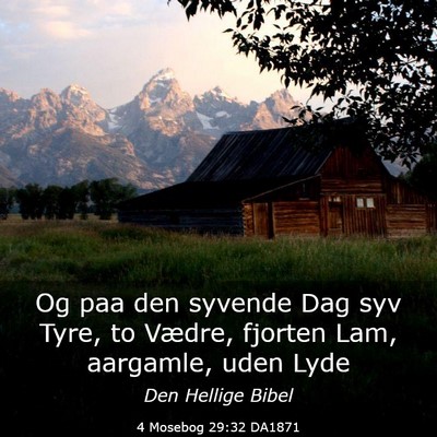 Picture 03 - 4 Mosebog 29:32 DA1871 - Og paa den syvende Dag syv Tyre, to Vædre, - Bible Verse Picture
