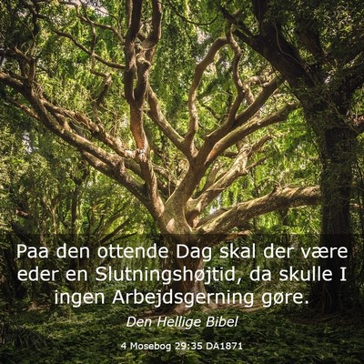 Picture 03 - 4 Mosebog 29:35 DA1871 - Paa den ottende Dag skal der være eder en - Bible Verse Picture
