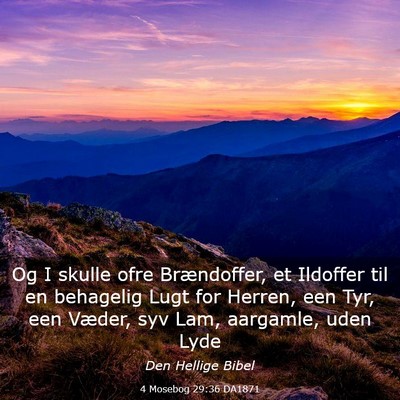 Picture 03 - 4 Mosebog 29:36 DA1871 - Og I skulle ofre Brændoffer, et Ildoffer til en - Bible Verse Picture