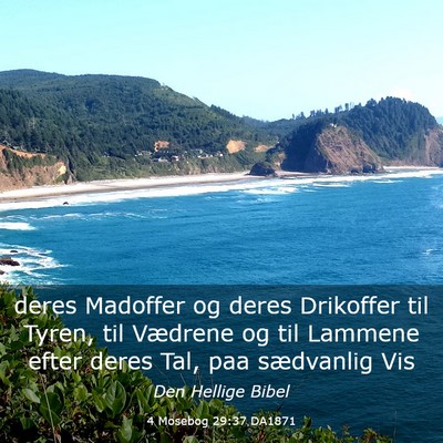 Picture 03 - 4 Mosebog 29:37 DA1871 - deres Madoffer og deres Drikoffer til Tyren, til - Bible Verse Picture