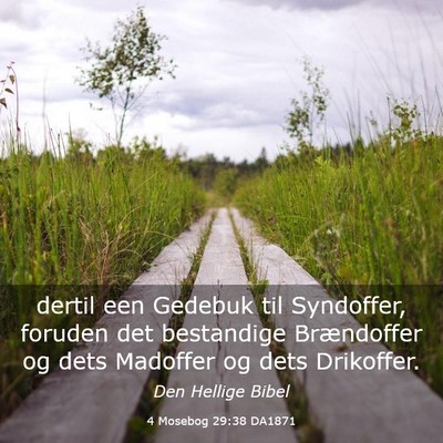 Picture 03 - 4 Mosebog 29:38 DA1871 - dertil een Gedebuk til Syndoffer, foruden det - Bible Verse Picture
