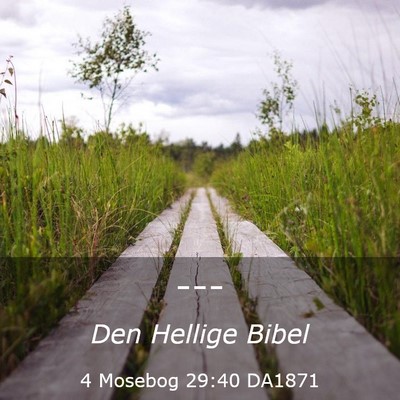 Picture 03 - 4 Mosebog 29:40 DA1871 -  - Bible Verse Picture