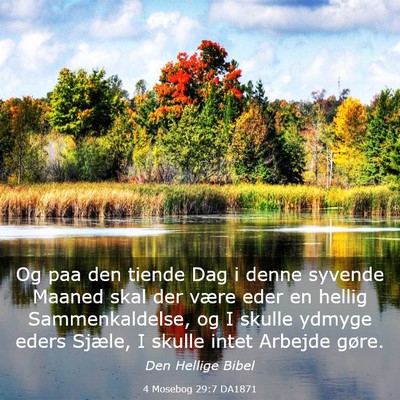 Picture 03 - 4 Mosebog 29:7 DA1871 - Og paa den tiende Dag i denne syvende Maaned skal - Bible Verse Picture