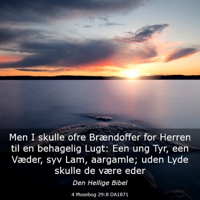 Picture 03 - 4 Mosebog 29:8 DA1871 - Men I skulle ofre Brændoffer for Herren til en - Bible Verse Picture