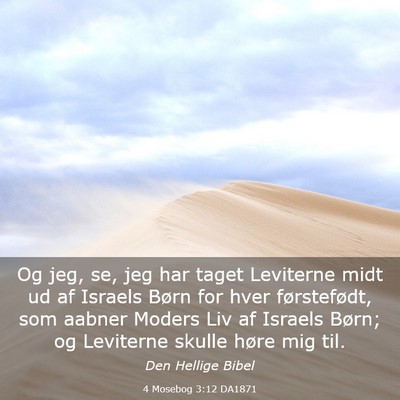 Picture 03 - 4 Mosebog 3:12 DA1871 - Og jeg, se, jeg har taget Leviterne midt ud af - Bible Verse Picture