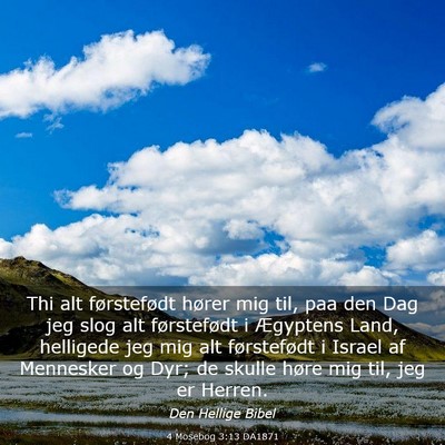 Picture 03 - 4 Mosebog 3:13 DA1871 - Thi alt førstefødt hører mig til, paa den Dag - Bible Verse Picture
