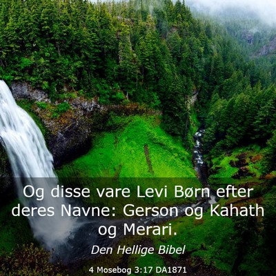 Picture 03 - 4 Mosebog 3:17 DA1871 - Og disse vare Levi Børn efter deres Navne: - Bible Verse Picture