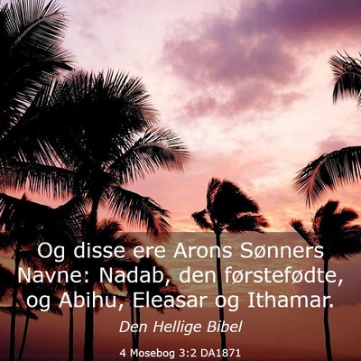 Picture 03 - 4 Mosebog 3:2 DA1871 - Og disse ere Arons Sønners Navne: Nadab, den - Bible Verse Picture
