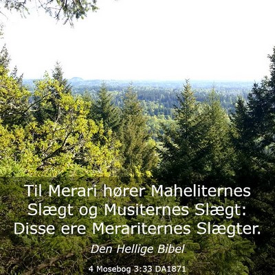 Picture 03 - 4 Mosebog 3:33 DA1871 - Til Merari hører Maheliternes Slægt og - Bible Verse Picture