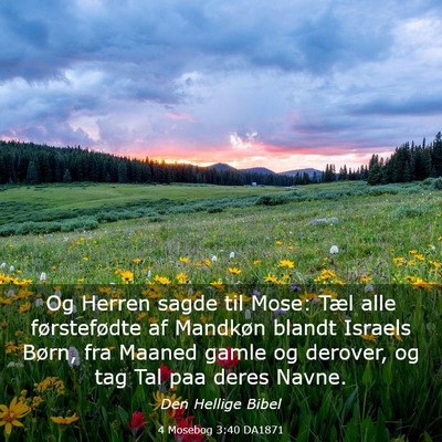 Picture 03 - 4 Mosebog 3:40 DA1871 - Og Herren sagde til Mose: Tæl alle førstefødte - Bible Verse Picture