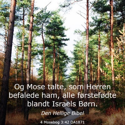 Picture 03 - 4 Mosebog 3:42 DA1871 - Og Mose talte, som Herren befalede ham, alle - Bible Verse Picture