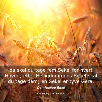 Picture 03 - 4 Mosebog 3:47 DA1871 - da skal du tage fem Sekel for hvert Hoved; efter - Bible Verse Picture