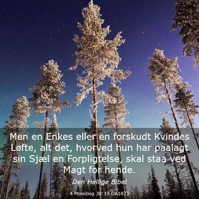 Picture 03 - 4 Mosebog 30:10 DA1871 - Men en Enkes eller en forskudt Kvindes Løfte, - Bible Verse Picture
