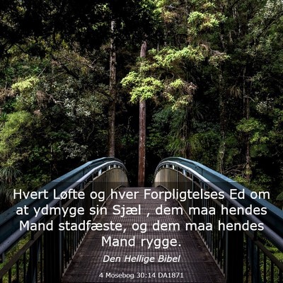 Picture 03 - 4 Mosebog 30:14 DA1871 - Hvert Løfte og hver Forpligtelses Ed om at - Bible Verse Picture