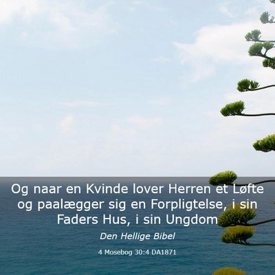 Picture 03 - 4 Mosebog 30:4 DA1871 - Og naar en Kvinde lover Herren et Løfte og - Bible Verse Picture