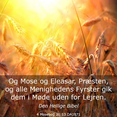 Picture 03 - 4 Mosebog 31:13 DA1871 - Og Mose og Eleasar, Præsten, og alle Menighedens - Bible Verse Picture