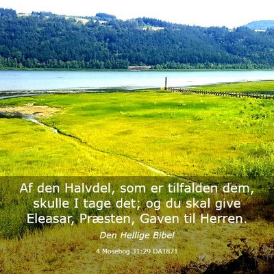 Picture 03 - 4 Mosebog 31:29 DA1871 - Af den Halvdel, som er tilfalden dem, skulle I - Bible Verse Picture