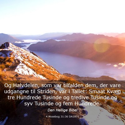 Picture 03 - 4 Mosebog 31:36 DA1871 - Og Halvdelen, som var tilfalden dem, der vare - Bible Verse Picture