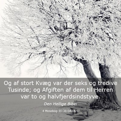 Picture 03 - 4 Mosebog 31:38 DA1871 - Og af stort Kvæg var der seks og tredive - Bible Verse Picture