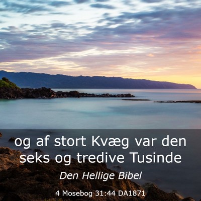 Picture 03 - 4 Mosebog 31:44 DA1871 - og af stort Kvæg var den seks og tredive - Bible Verse Picture