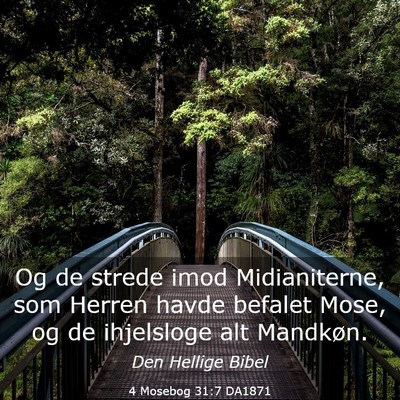 Picture 03 - 4 Mosebog 31:7 DA1871 - Og de strede imod Midianiterne, som Herren havde - Bible Verse Picture