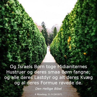 Picture 03 - 4 Mosebog 31:9 DA1871 - Og Israels Børn toge Midianiternes Hustruer og - Bible Verse Picture