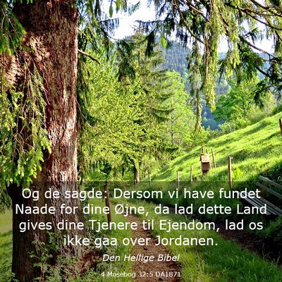 Picture 03 - 4 Mosebog 32:5 DA1871 - Og de sagde: Dersom vi have fundet Naade for dine - Bible Verse Picture