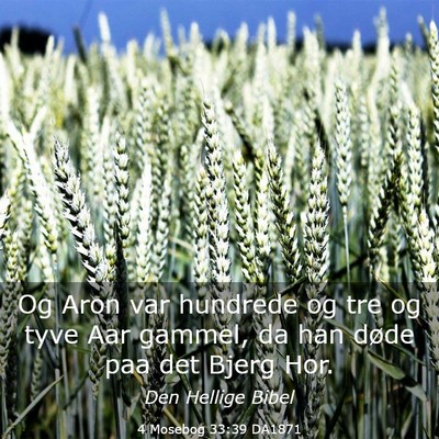 Picture 03 - 4 Mosebog 33:39 DA1871 - Og Aron var hundrede og tre og tyve Aar gammel, - Bible Verse Picture