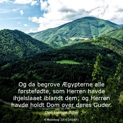 Picture 03 - 4 Mosebog 33:4 DA1871 - Og da begrove Ægypterne alle førstefødte, som - Bible Verse Picture