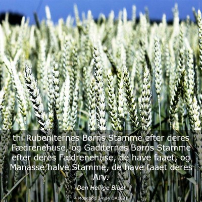 Picture 03 - 4 Mosebog 34:14 DA1871 - thi Rubeniternes Børns Stamme efter deres - Bible Verse Picture