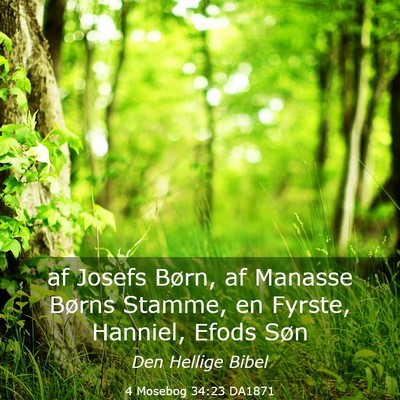 Picture 03 - 4 Mosebog 34:23 DA1871 - af Josefs Børn, af Manasse Børns Stamme, en - Bible Verse Picture