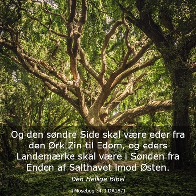 Picture 03 - 4 Mosebog 34:3 DA1871 - Og den søndre Side skal være eder fra den Ørk - Bible Verse Picture