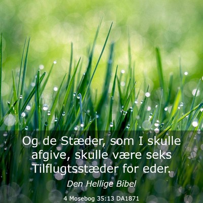 Picture 03 - 4 Mosebog 35:13 DA1871 - Og de Stæder, som I skulle afgive, skulle være - Bible Verse Picture
