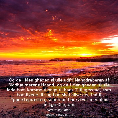 Picture 03 - 4 Mosebog 35:25 DA1871 - Og de i Menigheden skulle udfri Manddraberen af - Bible Verse Picture