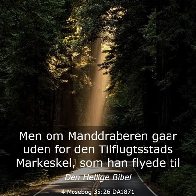Picture 03 - 4 Mosebog 35:26 DA1871 - Men om Manddraberen gaar uden for den - Bible Verse Picture